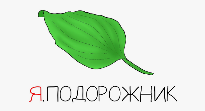 [Антон Маркин] Я.Подорожник (2024)