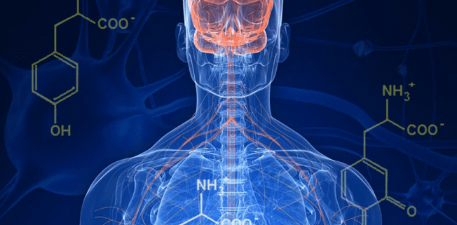 [MikeD] Как восстановить дофаминовые рецепторы и начать получать удовольствие от жизни (2024)
