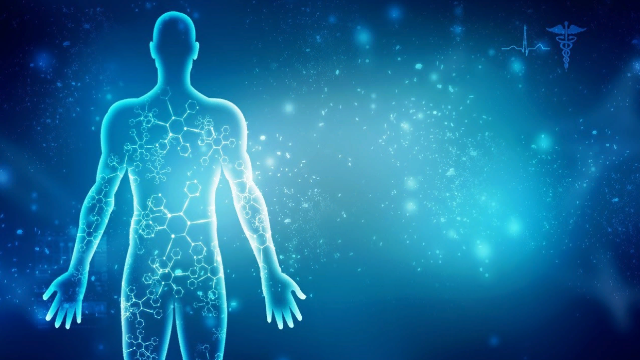 [Sigh Energy] Сканирование тела 2.0 (2022)