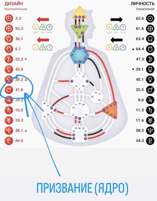 [Дмитрий Богацкий] Практикум «Призвание». Дизайн человека (2024)