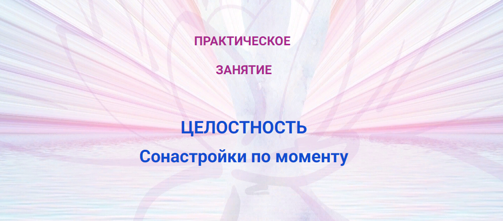 [Эмилия Франк] Практика «Целостность сонастройки моменту» (2023)
