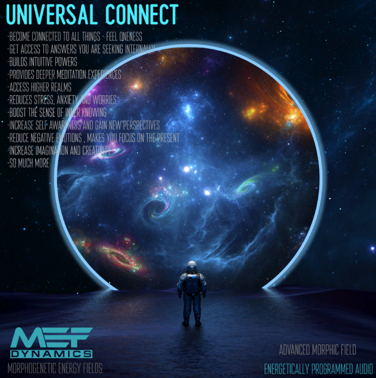 [MEF Dynamics] Универсальное соединение (морфическое поле) (2023)