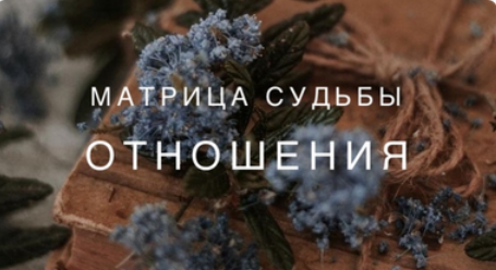 [Ксения Ликич] Матрица. Отношения (2022)