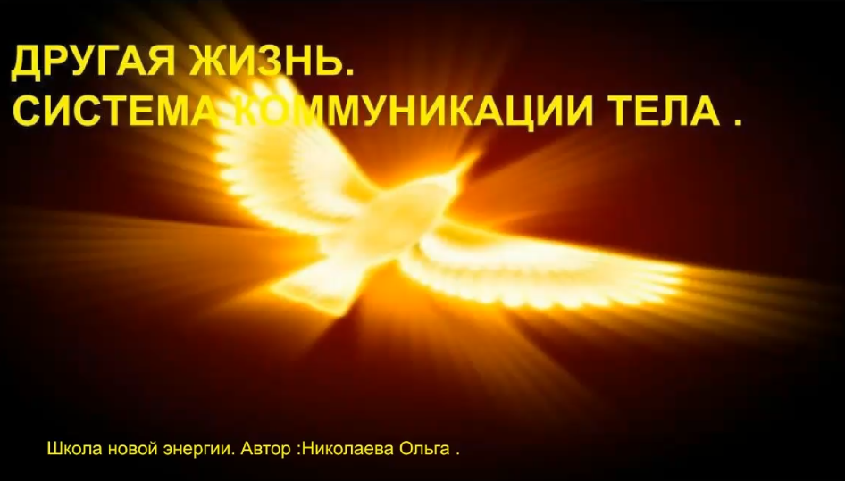 [Ольга Николаева] Другая жизнь. Система коммуникации тела (2022)
