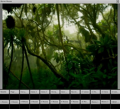 [Рубедо] Магия Жизни (2022)