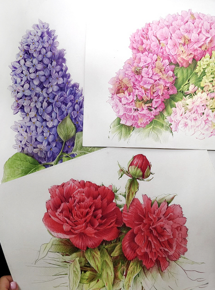 [Евгения Щеглова] Цветы цветными карандашами (2023)