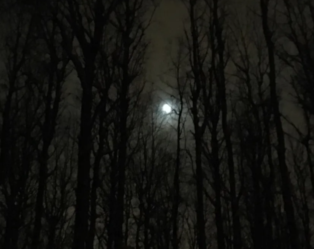 [Константин Соломатин] Дерзость (2020)