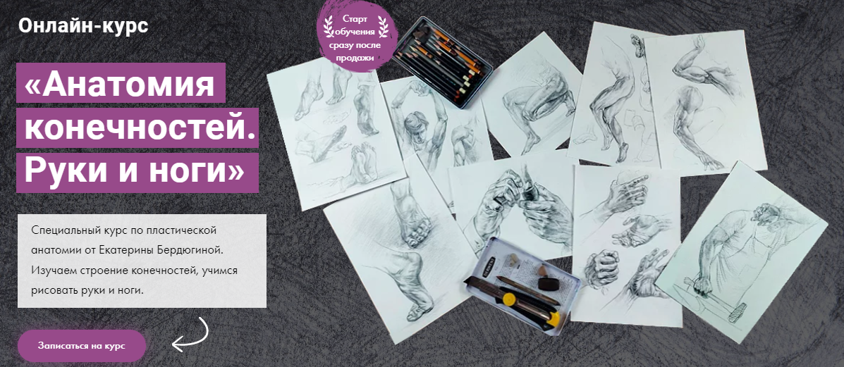 [Художник Online] Екатерина Бердюгина - Анатомия конечностей. Руки и ноги (2023)