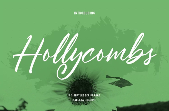 [Fontbundles] Hollycombs Script Font (2022)