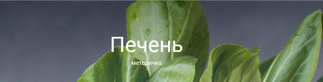 [Валентина Жукова] Методичка Печень + аналоги с российского рынка (2022)