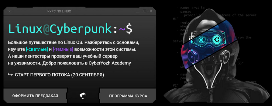 [Евгений Ивченков, Алексей Гришин] [CyberYozh] Linux Cyberpunk. Тариф Black (2024)