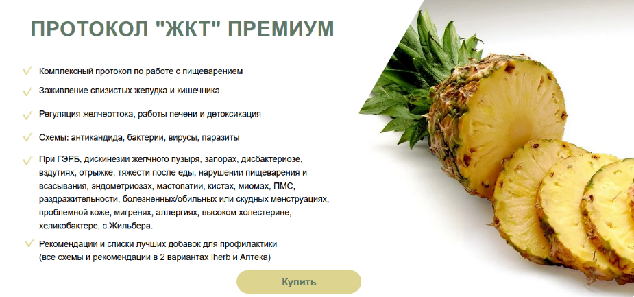 [Светлана Литвиненко] Протокол «ЖКТ» Премиум (2024)
