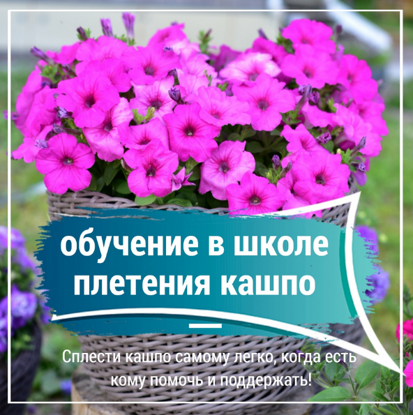 [Снежана Чубыкина] [Мастерская Хуторянка] Обучение в школе плетения кашпо (2024)