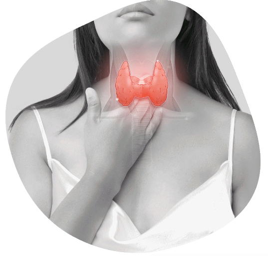 [Времени нет] Татьяна Левищева, Ольга Абакумова - Секреты здоровой щитовидки (2023)