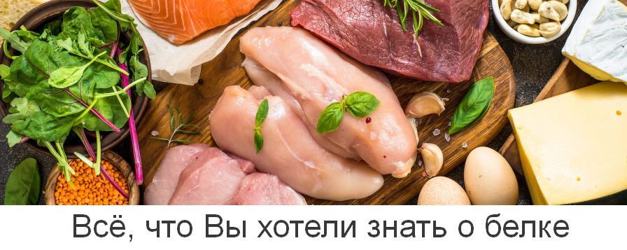 [Валерий Подрубаев] [humberto 2.0] Всё, что Вы хотели знать о белке (2023)