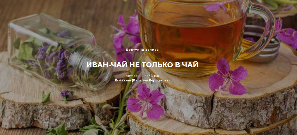 [Валерий Коршунов] [festtrav] Иван-чай не только в чай (2023)