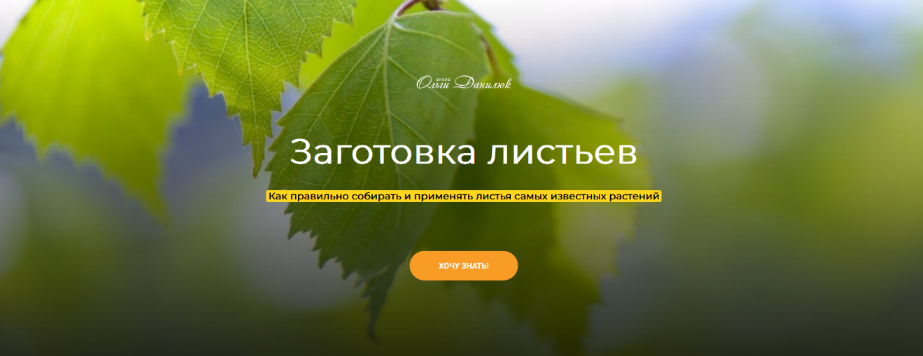 [Ольга Данилюк] Заготовка листьев (2023)