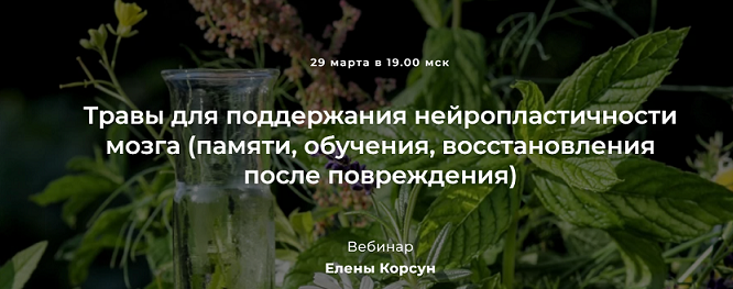[Е. Корсун] Травы для поддержания нейропластичности мозга (восстановления после повреждения) (2022)
