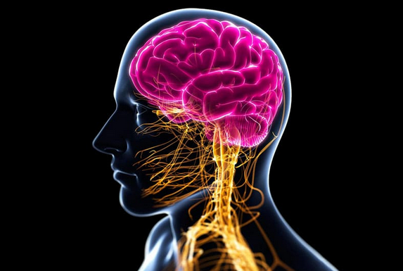 [Ульвия Голденбрук] [Центр Шерома] Исцеление нервной системы с помощью аромамедицины (2022)