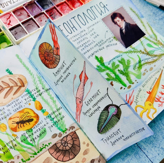 [hurlyburlyschool] Окружающий мир. 13 блок (2023)