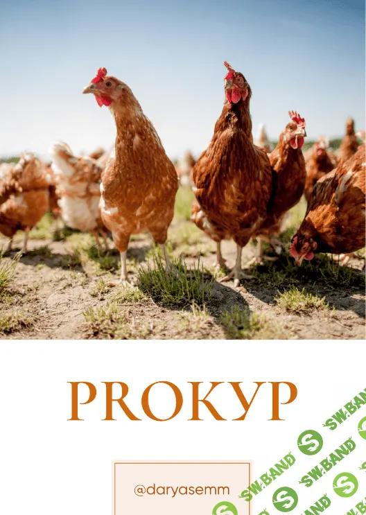 [Рыжий Фермер] PROКУР (2023)