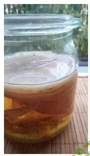 [Fermenterra] Чайный гриб с нуля (2023)