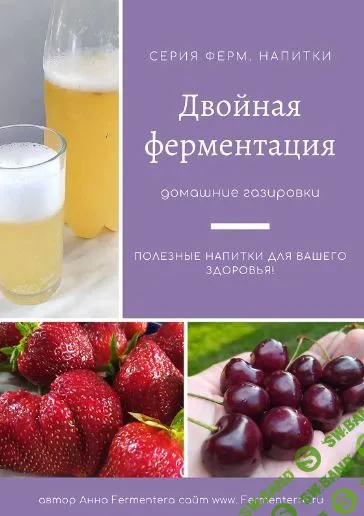 [Fermenterra] Двойная ферментация, домашние газировки (2023)
