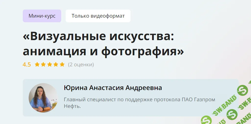 [Инфоурок] Визуальные искусства - анимация и фотография (2024)