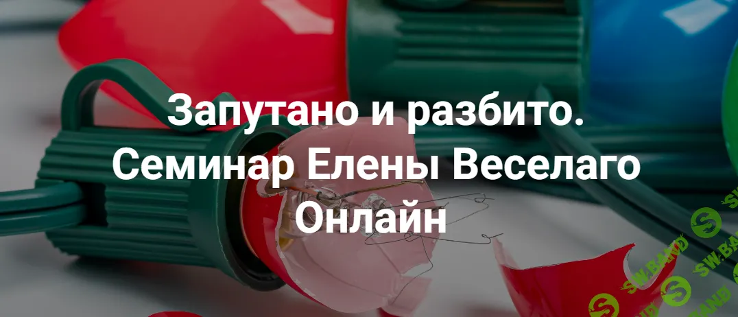 [Институт открытого поля] Запутано и разбито (2024)