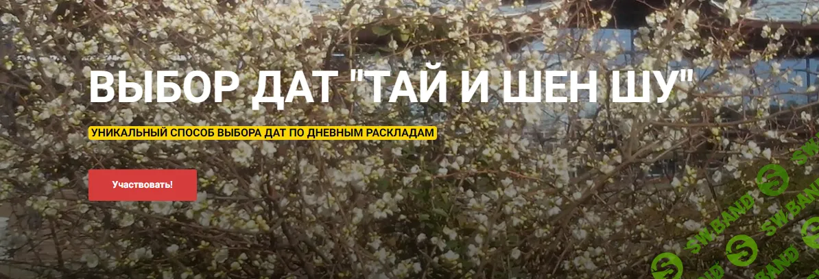 [Алексей Левандовский] Тай И Шен Шу (2024)