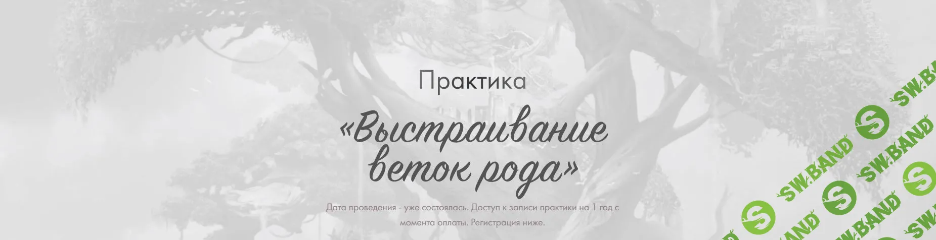 [Юлия Ивлиева] Практика «Выстраивание веток рода» (2023)