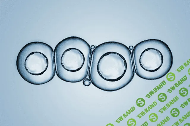 [Morpheus Fields] Превращение (2023)