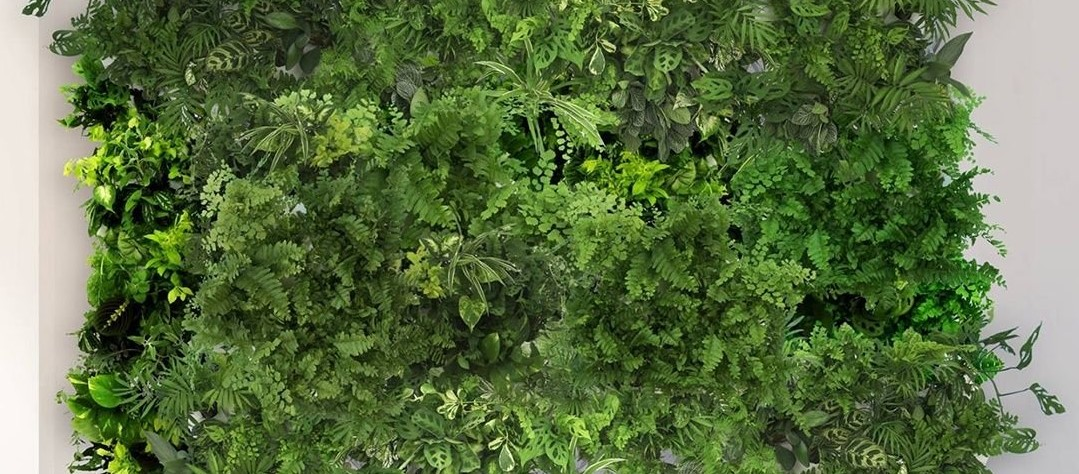 [Натали Серова] Вертикальное озеленение (2022)