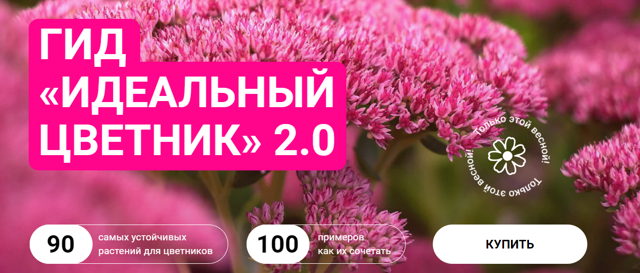 [Марина Берестова] Гид «Идеальный цветник» 2.0 (2024)