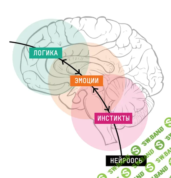 [Катерина Ленгольд] Новая орбита. Обновленный нейрокоучинг для достижения целей (2022)