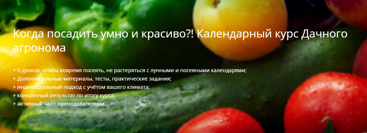 [Дачный агроном] Когда посадить умно и красиво?! Календарный курс (2023)