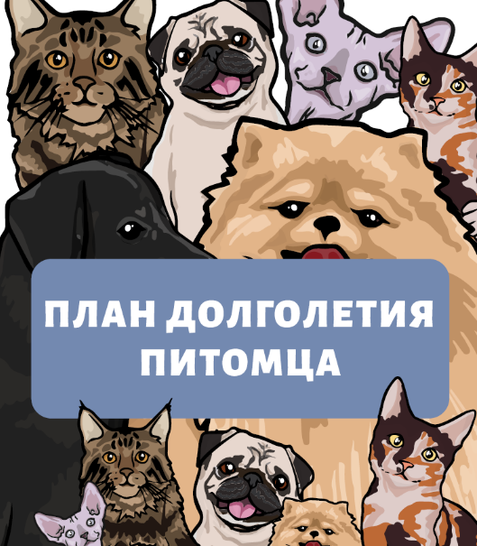 [Наталья Федосеева] Гайд «План долголетия питомца» (2022)