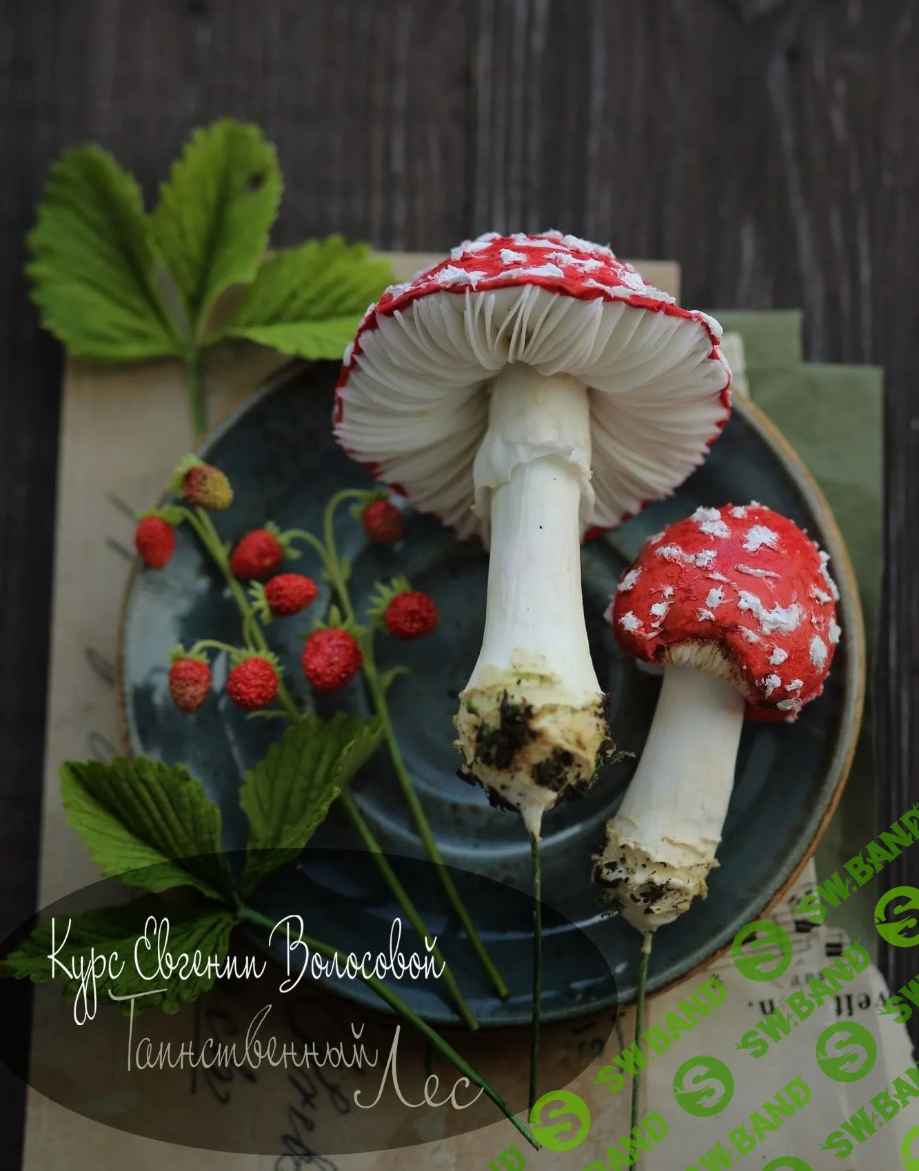 [Евгения Волосова] Таинственный лес (2023)