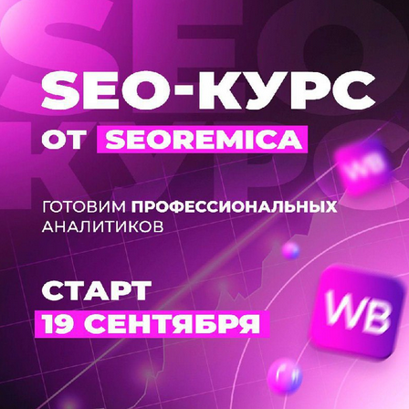 [Павел] [Seoremica] SEO для wildberries 3.0 (2022)