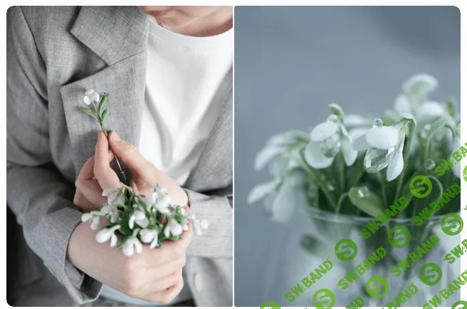 [Анастасия Демидова] Подснежник (2024)