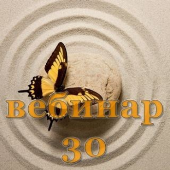 [Александр Югай] Практический Ци Мень 30 (Эксклюзивный вебинар)