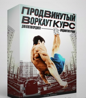[Артем Морозов] Продвинутый Воркаут Курс [calisthenics.school]