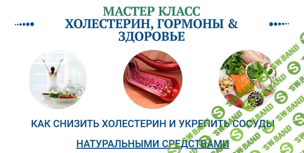 [Ольга Павлова] Холестерин, гормоны и здоровье (2024)
