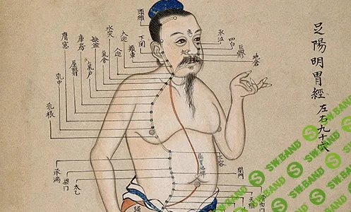 [Краниосакральная академия] Практический курс основам акупунктуры. Модуль 3 (2024)