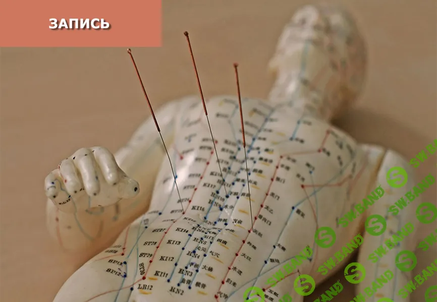 [Синофарм] Метод трех точек цзинь (2024)