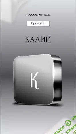 [Алена Ковальчук] Протокол Калий (2024)