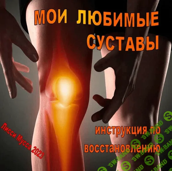 [Лисси Мусса] Мои любимые суставы. Инструкция по восстановлению. (2023)
