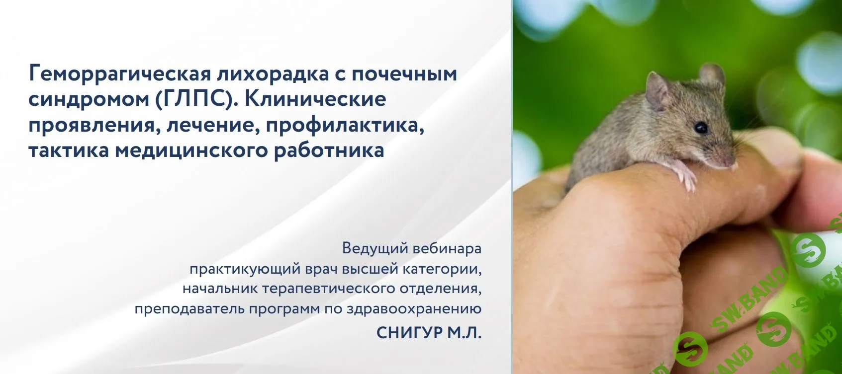 [Максим Снигур] Геморрагическая лихорадка с почечным синдромом (ГЛПС). Лечение, тактика медицинского работника (2022)