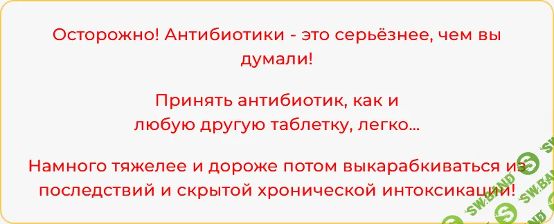 [Александра Бонина] Анти-антибиотики - пошаговый план восстановления здоровья после приема антибиотиков (2024)