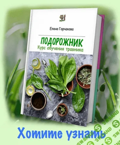 [Медвежий угол] Подорожник (2023)